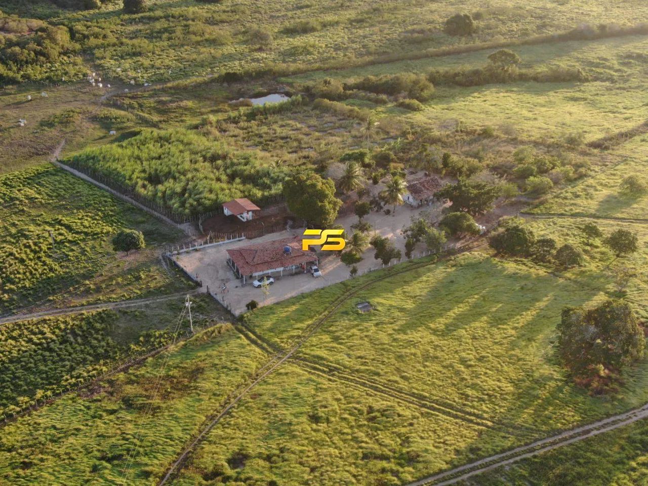 Fazenda 67 hectares em Jacaraú/PB à Venda REF: PS7738 - Foto 4