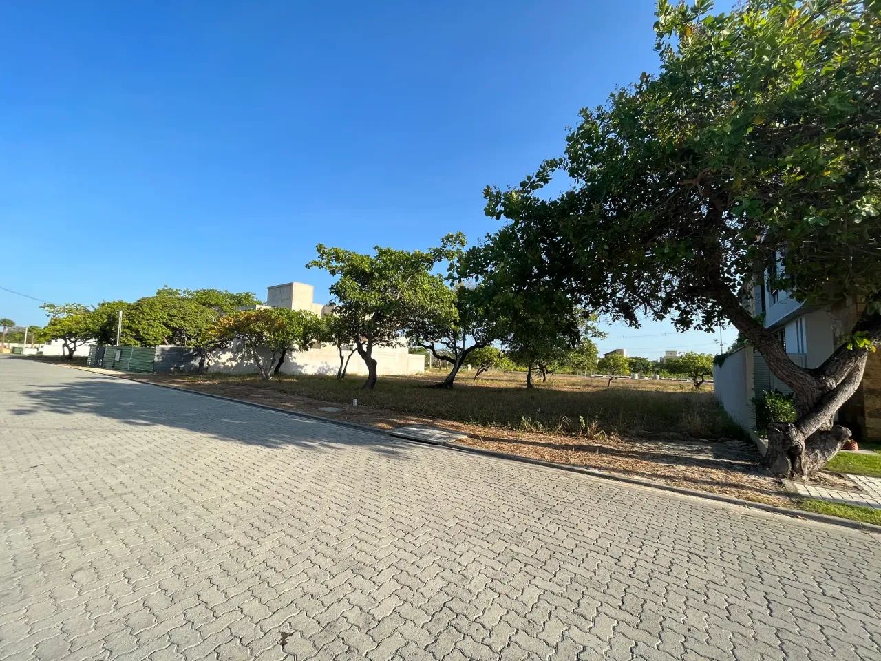 Lote no Reserva Terras Brasilis - Jacundá- Eusébio/CE. - Foto 5