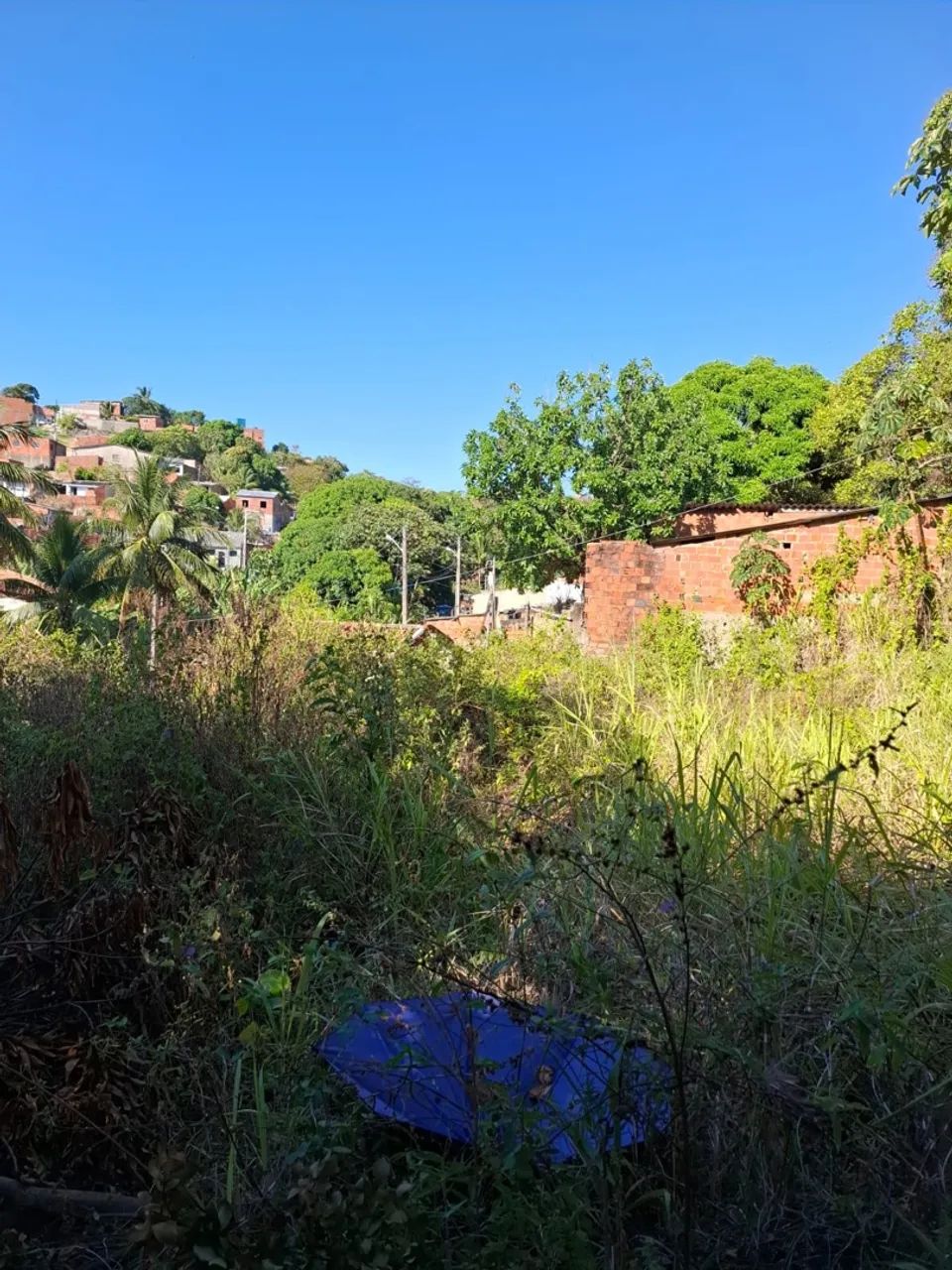 TERRENO EM GUAXUMA/MACEIO - Foto 4