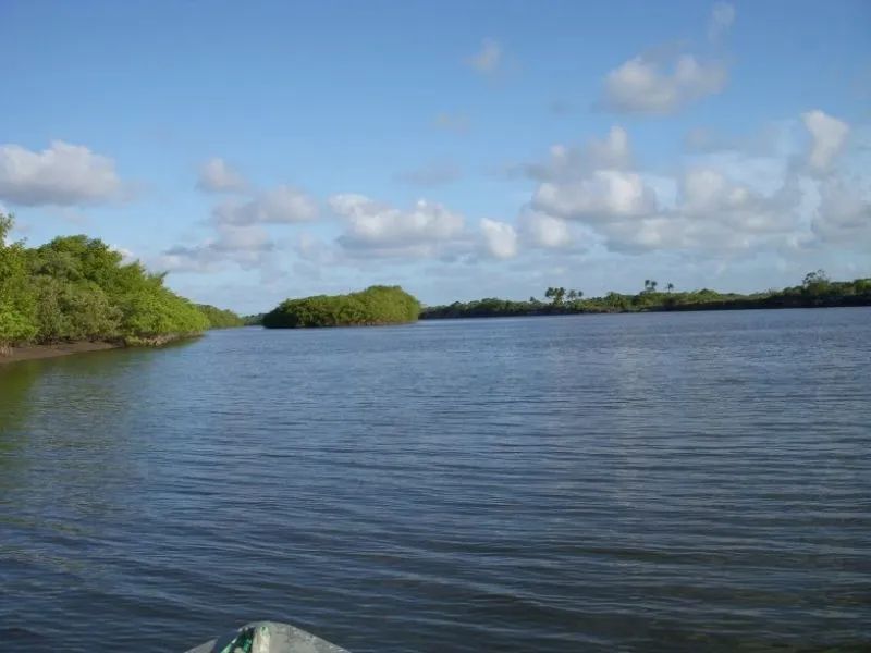 Ilha em Caravelas Bahia - Foto 5