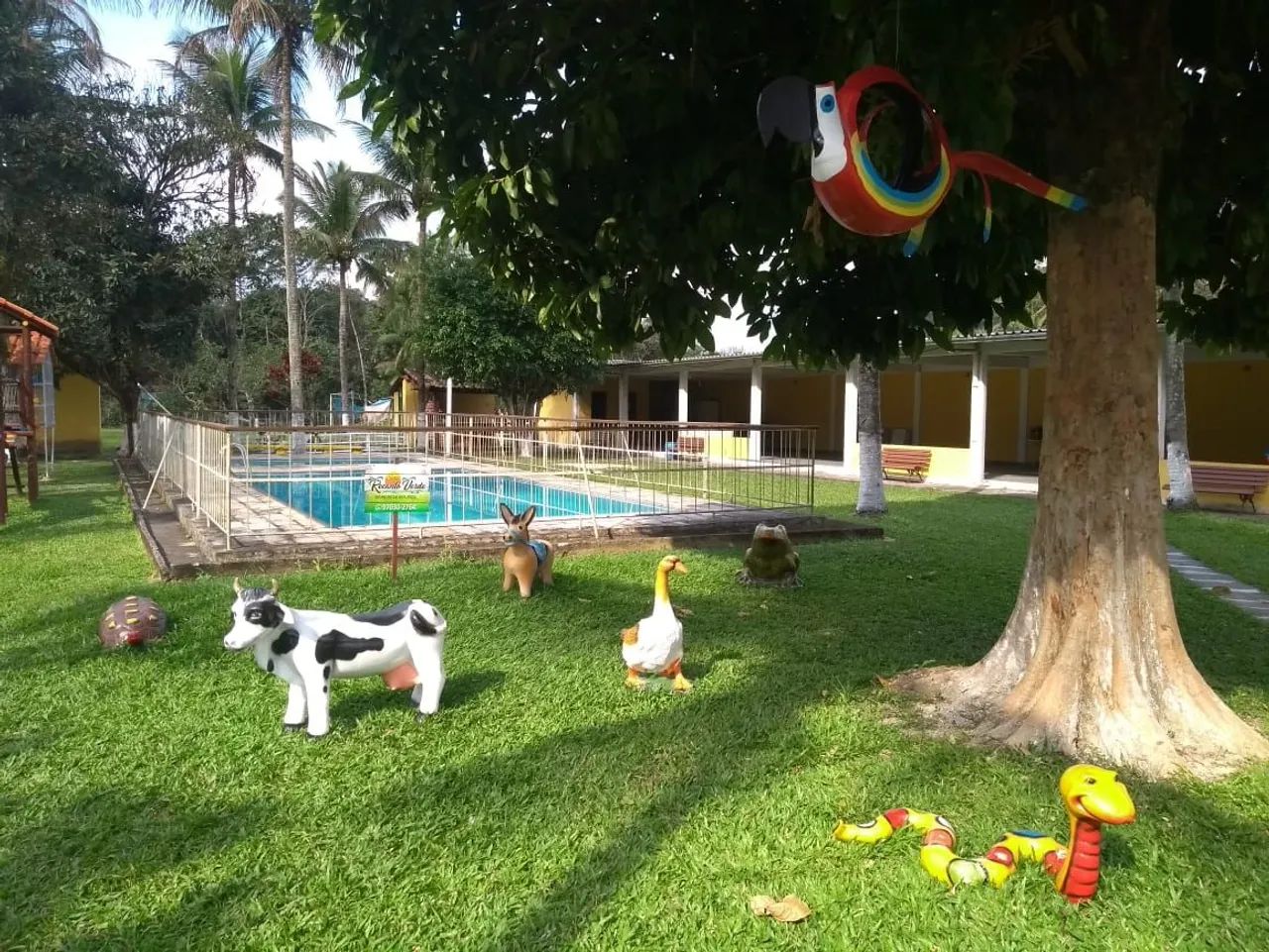 Sitio Recanto Verde (Santo Aleixo - Magé) - Foto 6