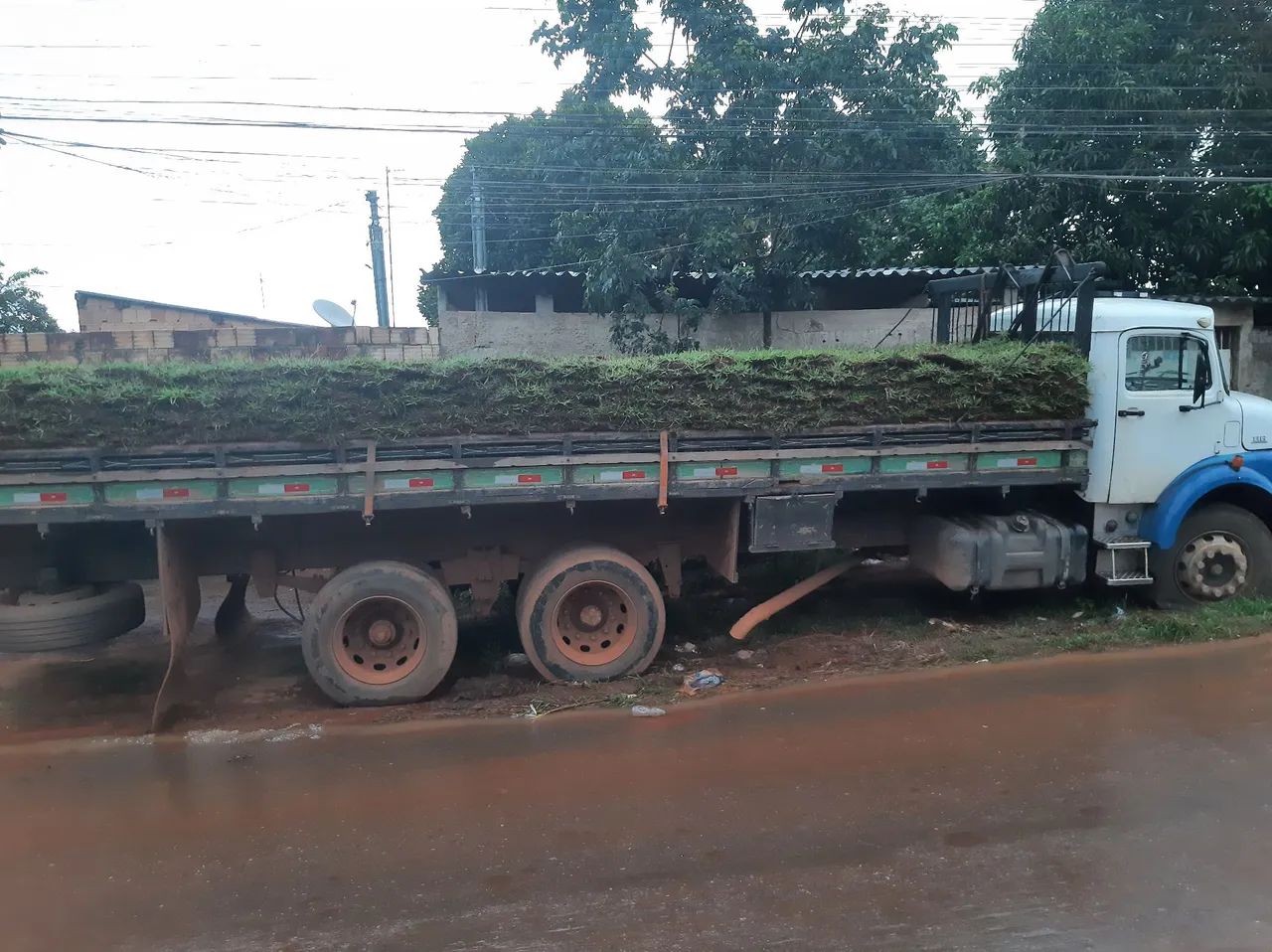 Gramas batatais, esmeralda e são carlos  - Foto 3