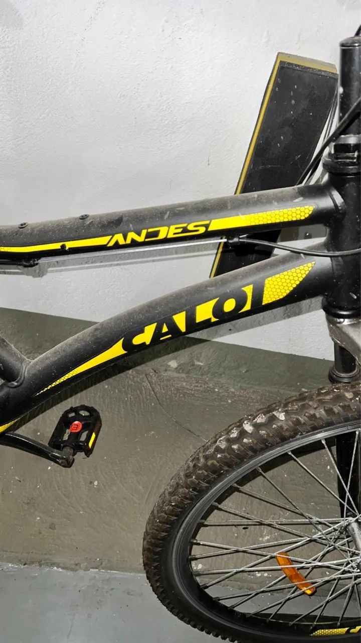 BICICLETA CALOI  - Foto 4