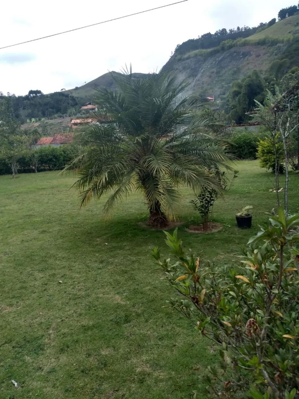 Foto - Nova Friburgo - Olaria