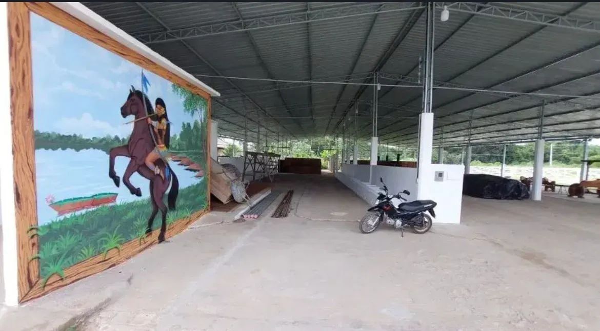 CHÁCARAS DA FAZENDA 1 - Foto 8