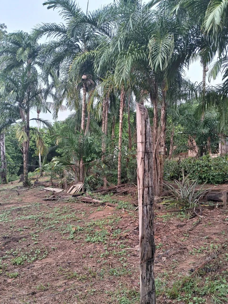 Sitio - Foto 5