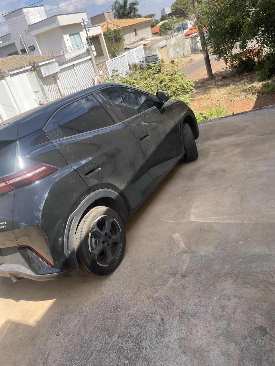 Aluguel Byd Dolphin mini