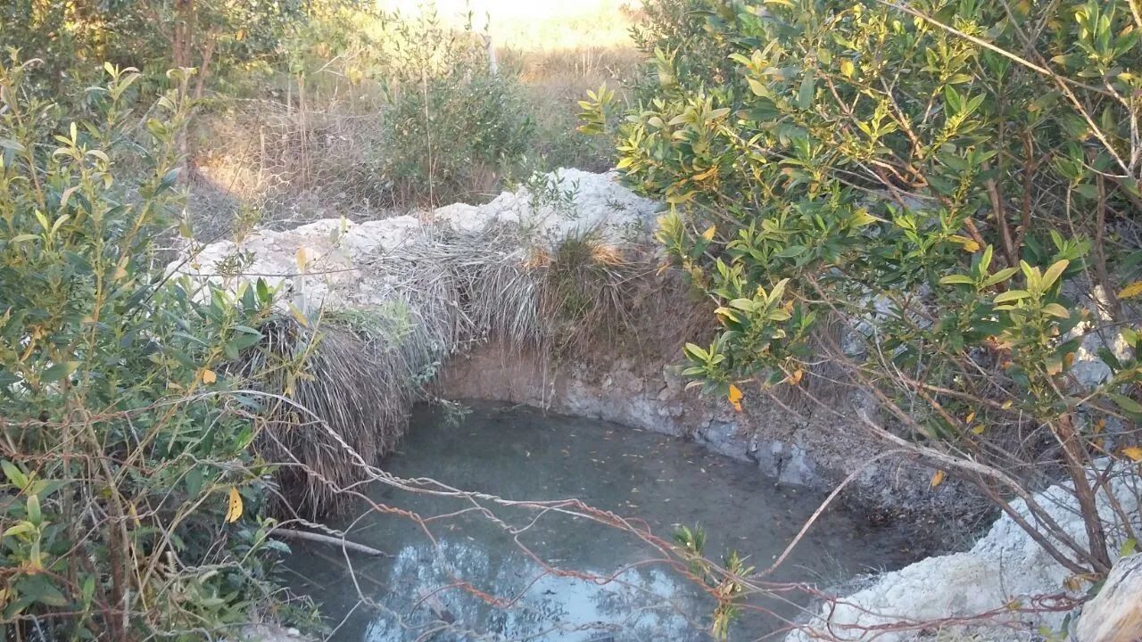 SÍTIO DOS SONHOS COM 60 HECTARES. - Foto 3
