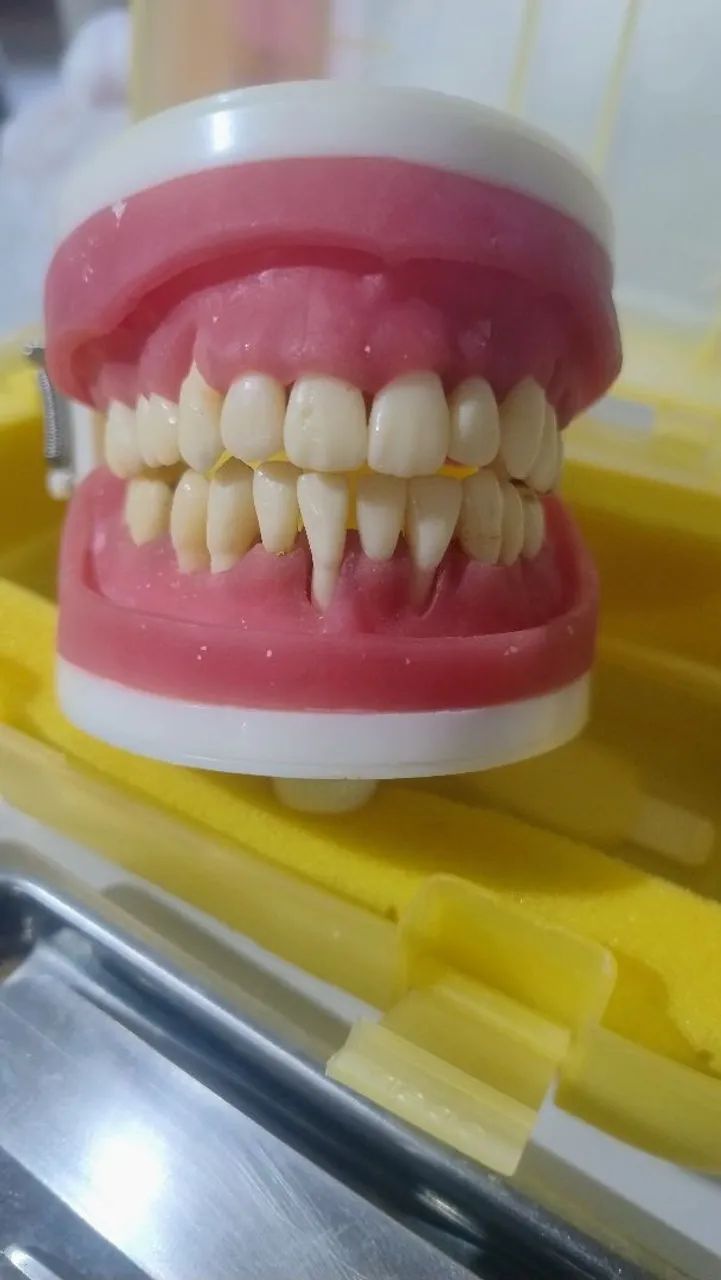 Manequim odontológico  - Foto 4