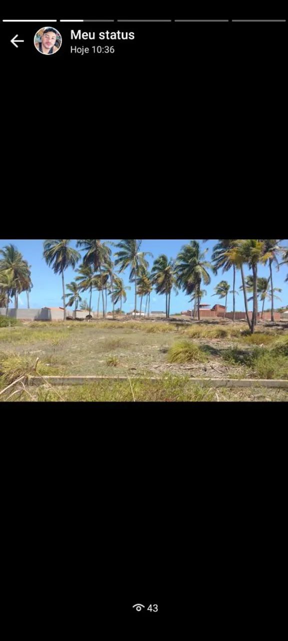 terreno Taiba - Foto 2