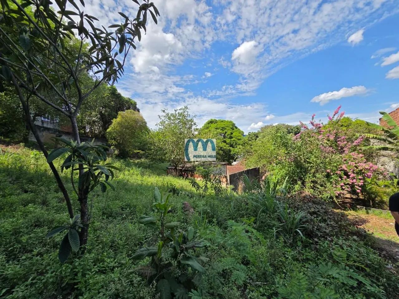 Terreno/Lote à venda 2.454m² - Foto 3