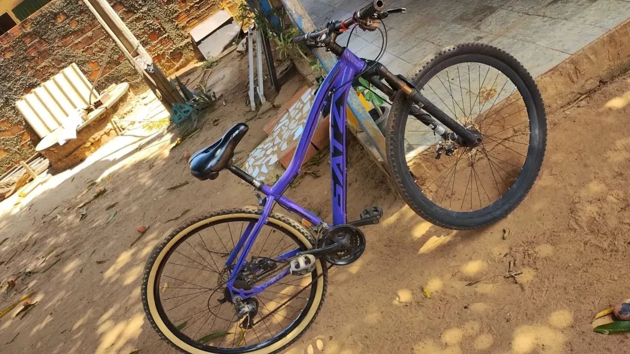 Bicicleta 