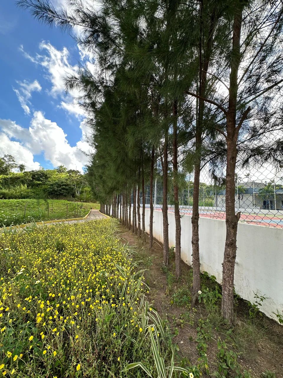 Lote - Rancho Olindense Carpina  - Foto 2