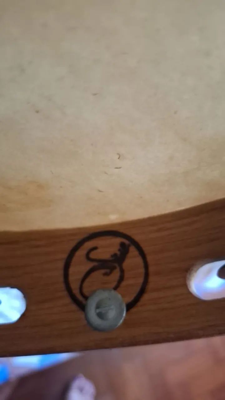 Pandeiro do Mineiro - Foto 4