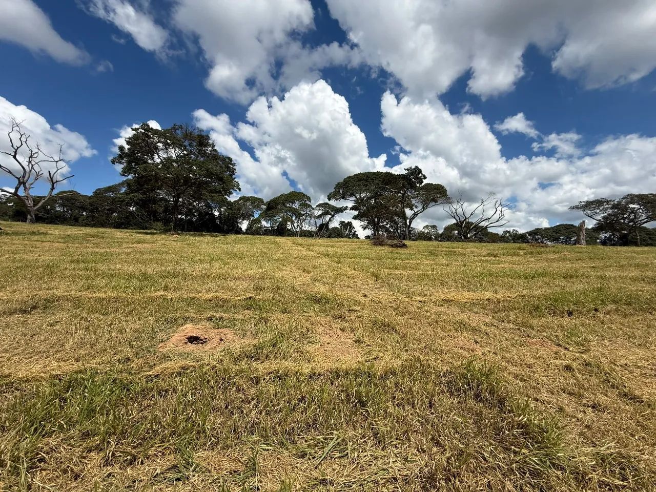 Terreno rural em itaguara  - Foto 2