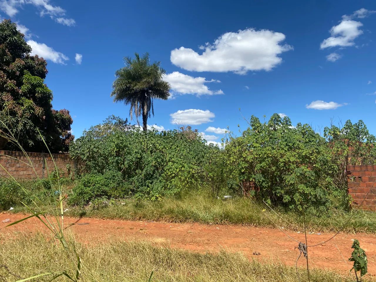 Terra papéis  - Foto 3