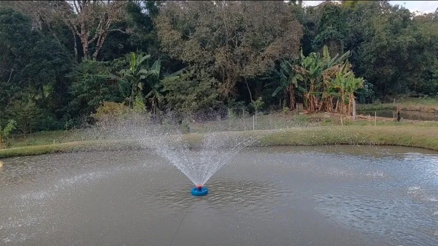 CHÁCARA A VENDA EM PEDRA BELA-SP - Foto 5