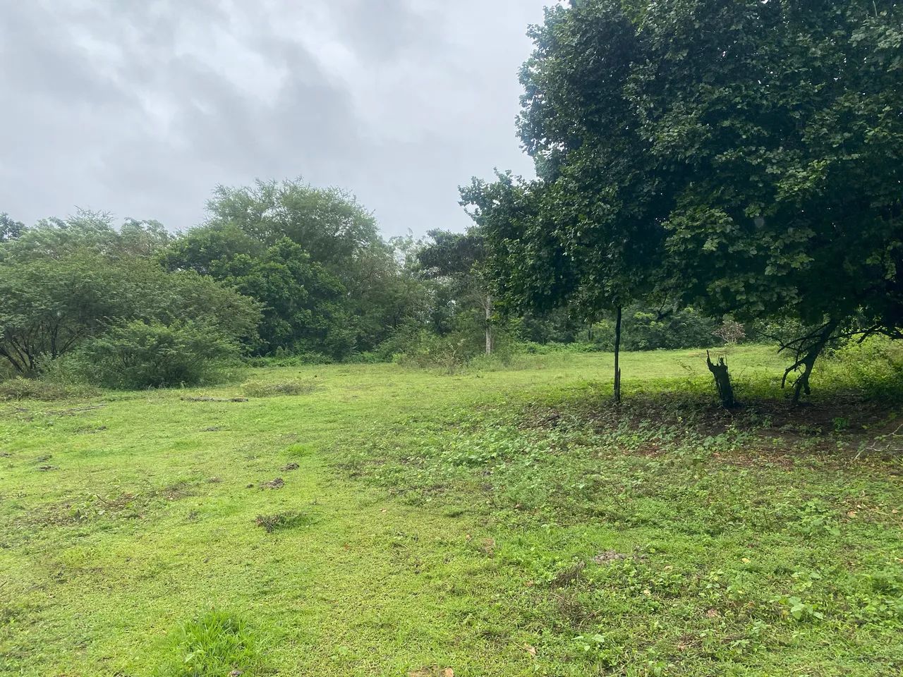 Terreno em Parnamirim  - Foto 5