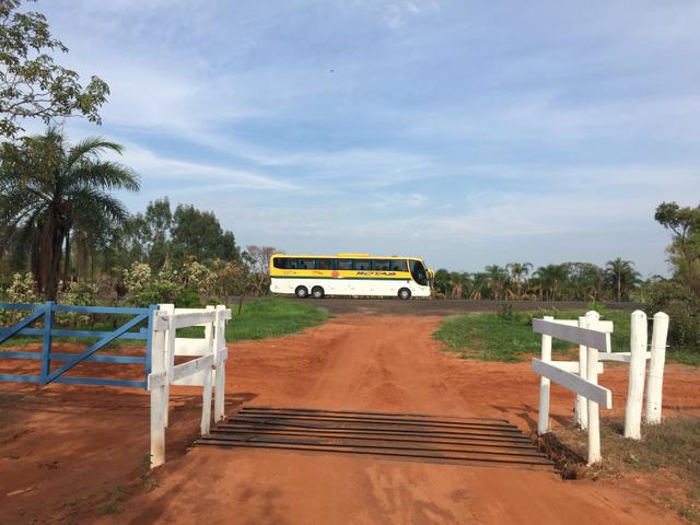 Fazenda em Frutal Minas Gerais Triângulo Mineiro - Foto 17