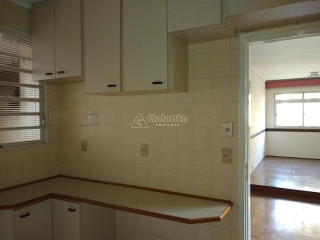 Apartamento para alugar com 2 dormitórios em Cambuí, Campinas cod:AP004050 - Foto 6