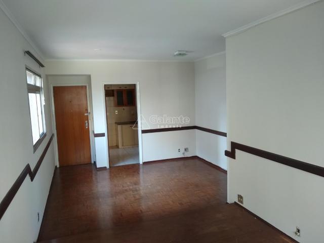 Apartamento para alugar com 2 dormitórios em Cambuí, Campinas cod:AP004050 - Foto 3