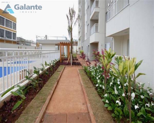 Apartamento à venda com 2 dormitórios em Vila industrial, Campinas cod:AP051571 - Foto 2
