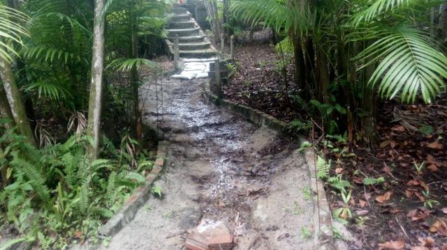 Vendo uma Chácara em João Alves-Morros - Foto 13