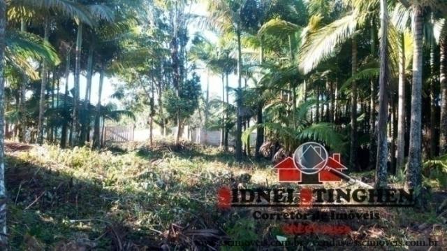 Confira! chácara com 3.192,92 m² em bal. barra do sul - sc. - Foto 4