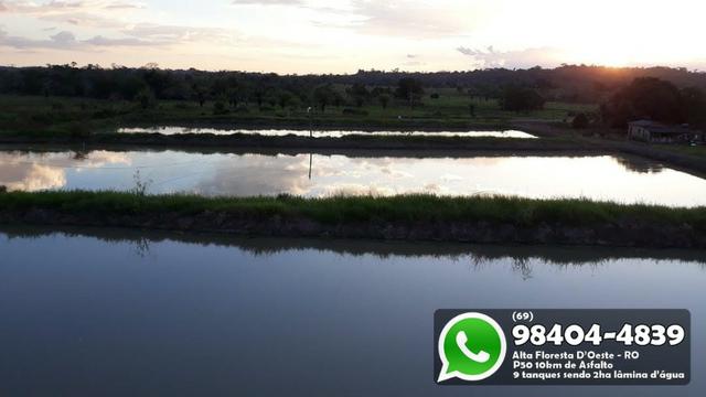 Chácara com 9 Represas no Asfalto em Alta Floresta - Foto 5