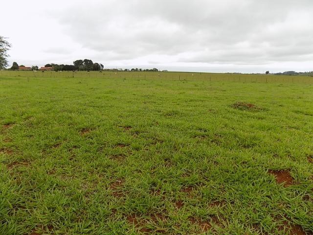 Avaré-Sp, Fazenda 35 Alqueires - Foto 5