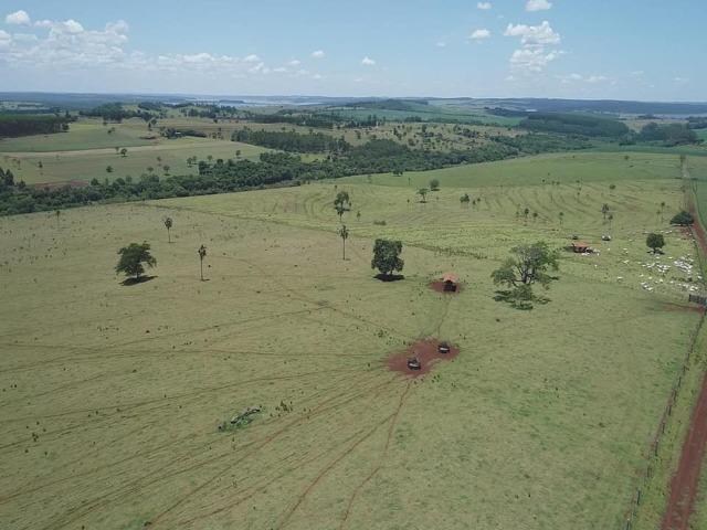 Avaré-Sp, Fazenda 170 Alqueires - Foto 5