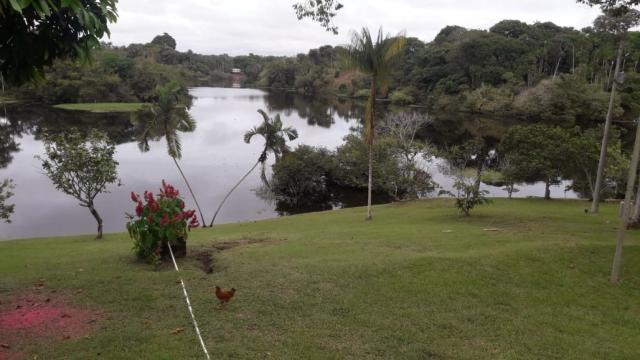 Ilha no Ramal Novo Tempo em iranduba - AM - Foto 10