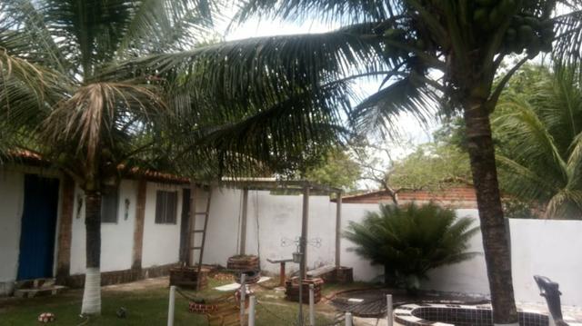 Vendo uma Chácara em João Alves-Morros - Foto 11