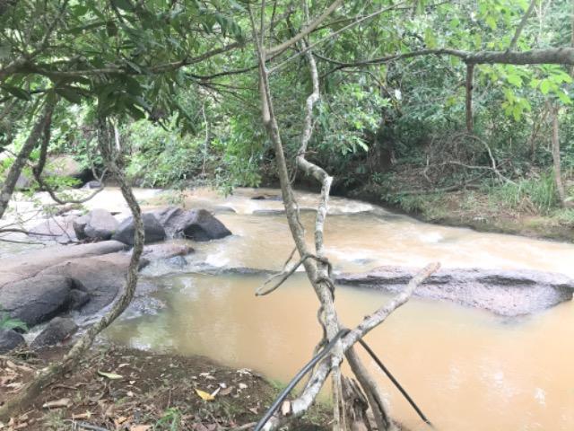 Alugo Chácara em Taquaruçu, Palmas - Tocantins - Foto 14