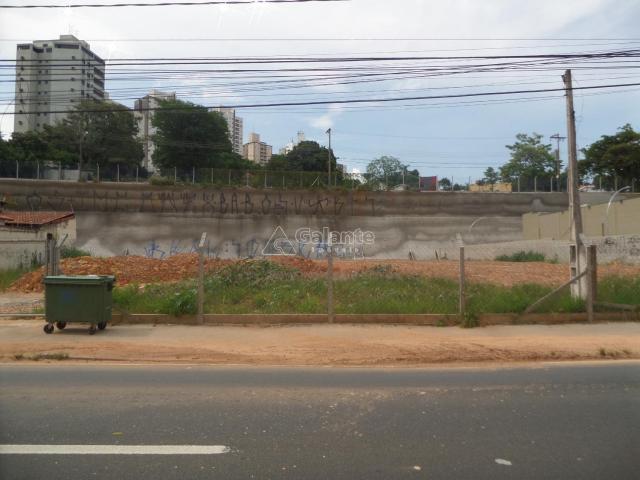 Terreno para alugar com 0 dormitórios em Cambuí, Campinas cod:AR003053