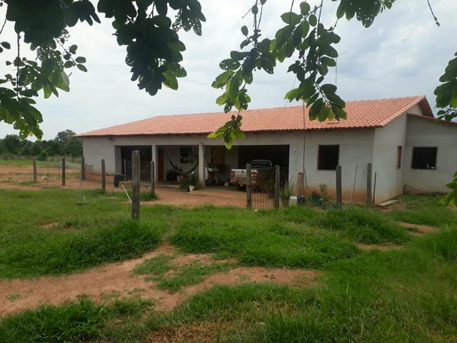 Fazenda 76 alqueires Município de Gurupi-TO - Foto 9