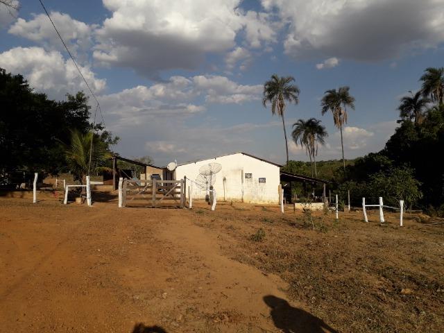Fazenda à venda ou troca R$ 12 mil o Hectare- Zona Rural - Luziânia/GO - Foto 3