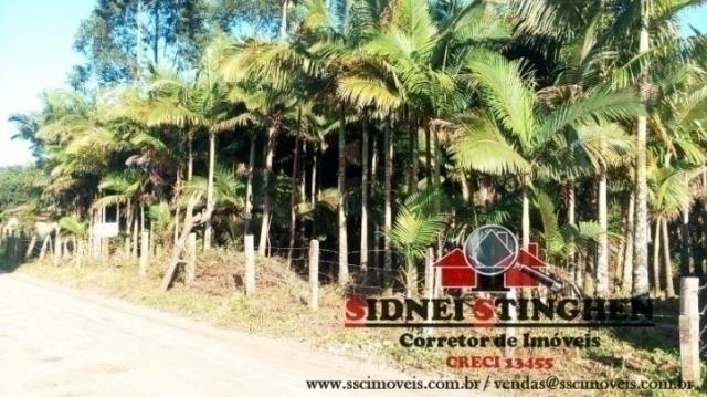 Confira! chácara com 3.192,92 m² em bal. barra do sul - sc. - Foto 6