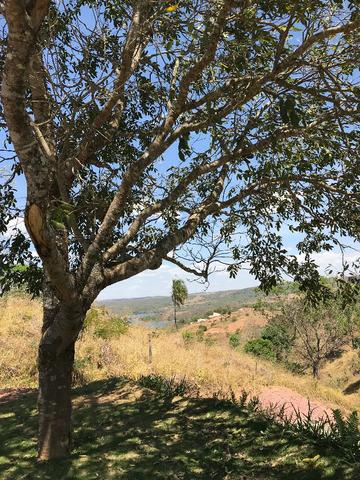 Tenha o seu próprio rancho no Lago Corumba 4 - Foto 4