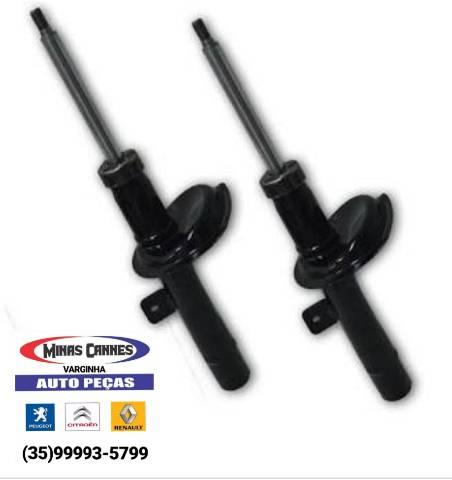 Amortecedor Dianteiro 206 e 207