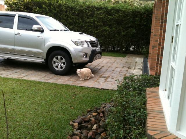 Hilux unico dono