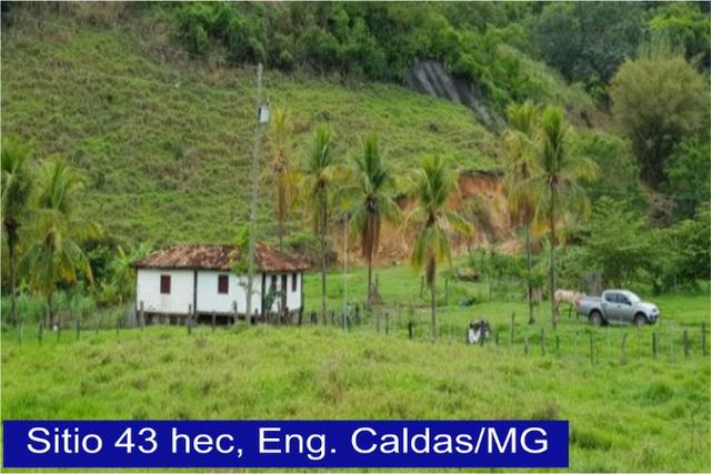 Adquira Já Seu Imovel Rural - Foto 14