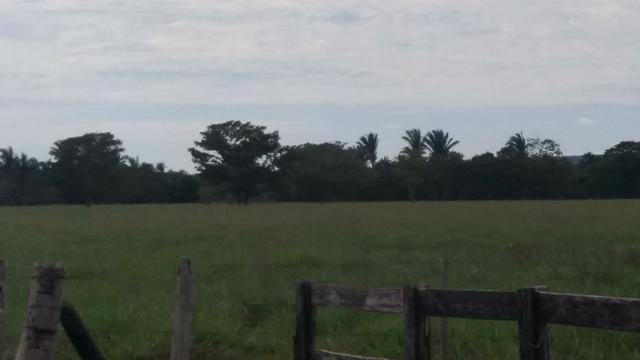 (Fazenda com 297ha em Mato Grosso) no município de Alto Paraguai(MT-409 KM35) - Foto 7