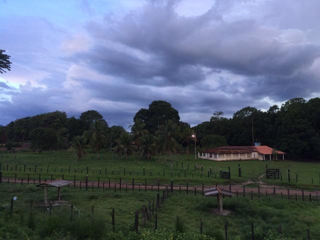 Bela fazenda com 450 hectares, super estruturada em Itapecuru -Mirim!