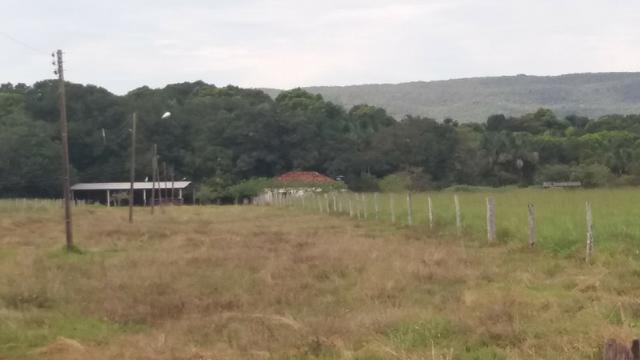 (Fazenda com 297ha em Mato Grosso) no município de Alto Paraguai(MT-409 KM35) - Foto 8