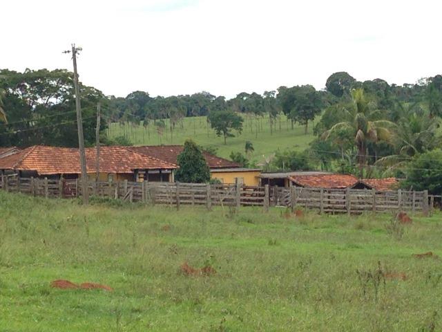 25 Alqueires-Avelinópolis Goiás-Próx. Goiânia-Excelente Preço R$ 150.000,00 o Alqueire - Foto 16