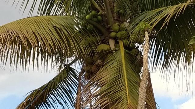 Excelente casa no Guará! Aceitamos financiamento! Localização privilegiada! - Foto 15