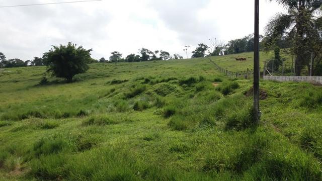 Sítio otima topografia com 10 A|lqueires - Bairro Pouso Alegre - Foto 6