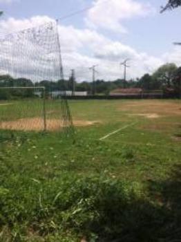 Granja-Chácara-Sítio 1,6 Hectares em Olinda, Aceito Automóvel ou imóvel - Foto 5