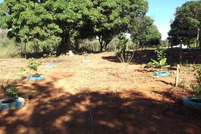 Sitio de 5 mil metros,Jaboticatubas (Temos varias opções). - Foto 3